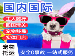白云机场物流国际宠物托运 【国